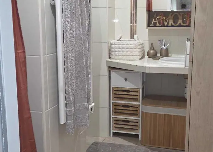 Appartement En Centre A 2 Minutes De La