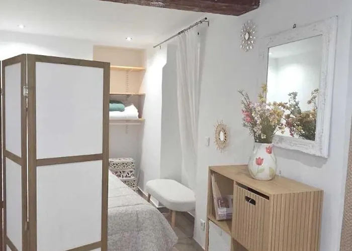 Apartamento En Centre A 2 Minutes De La